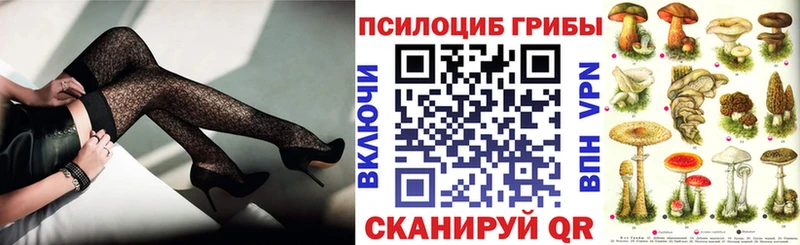 Псилоцибиновые грибы Cubensis  shop формула  Короча 